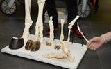 Hands-On-Material für den Unterricht