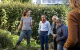 Workshop insektenfreundliche gärtnern