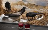 Bar der toten Tiere 2024