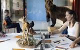 Tierzeichnen im Museum