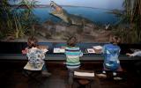 Naturhistorisches Museum Bern, Kinder zeichnen vor dem Krokodildiorama
