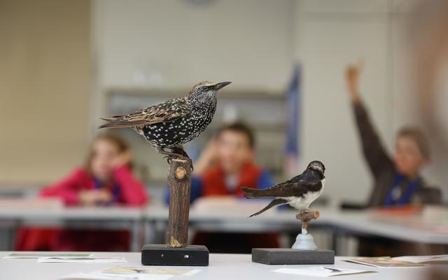 Schule im Museum