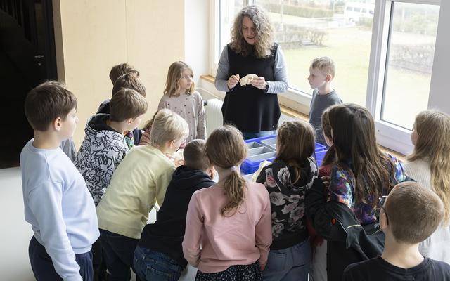 Schulklassenbesuch