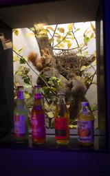 Bar der toten Tiere 2025