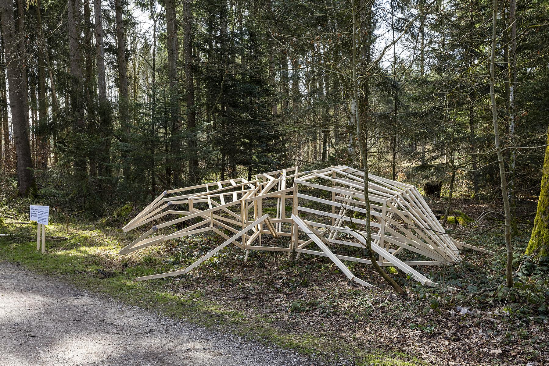 Hirschkäfer im Bremgartenwald