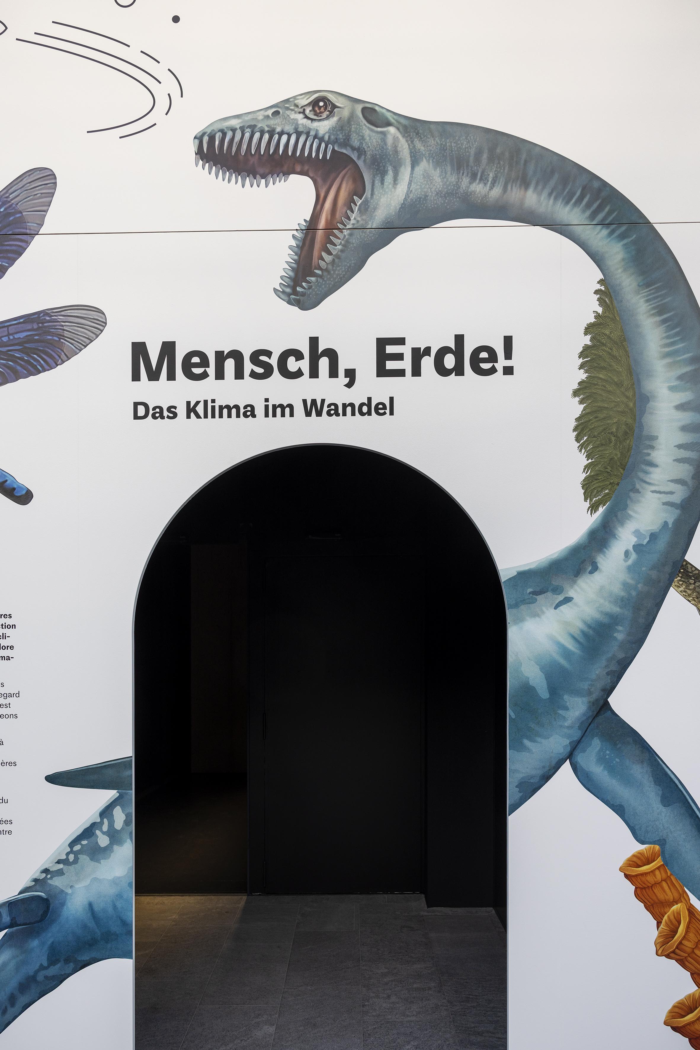 Ausstellungsansicht MEK