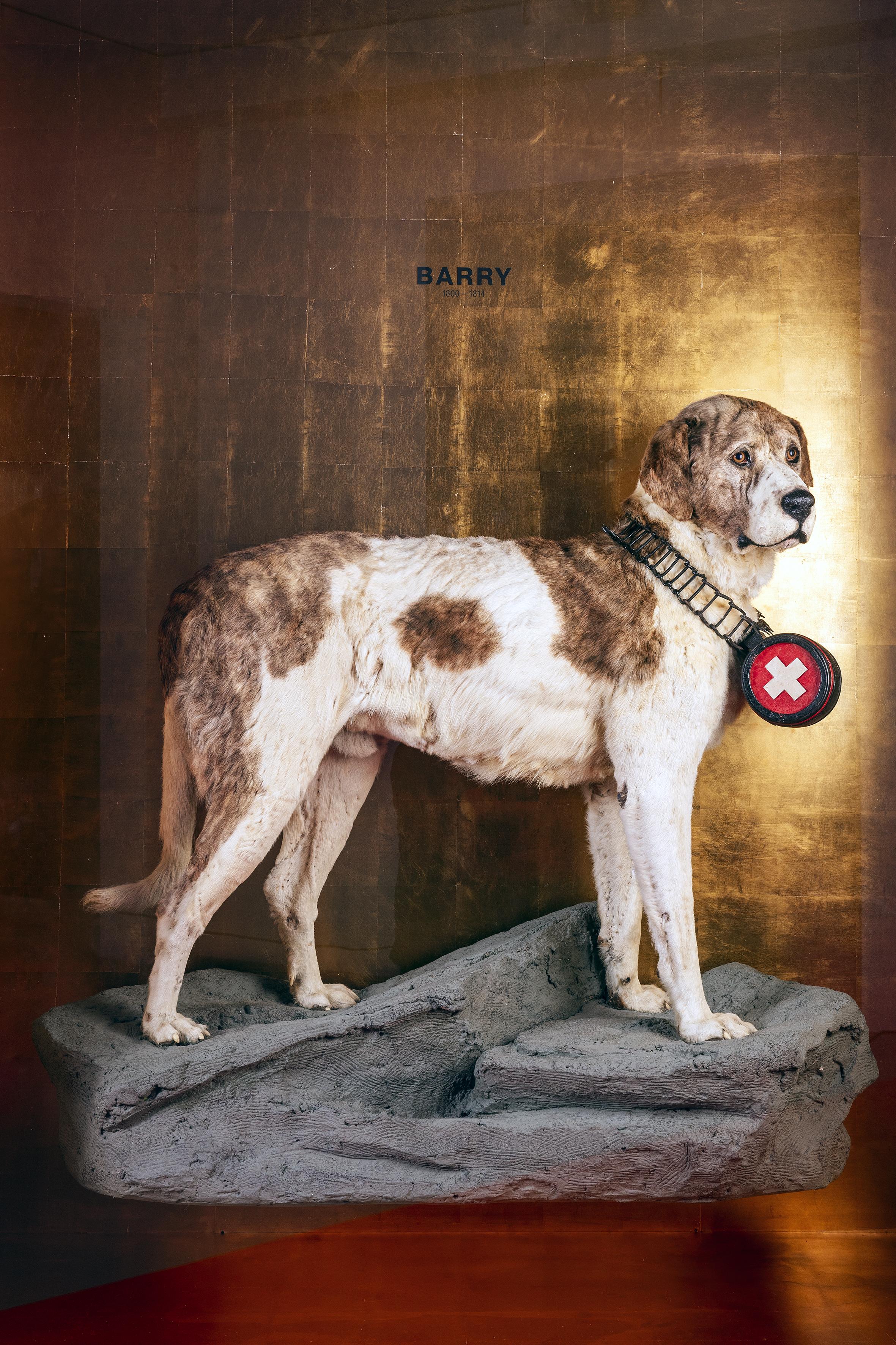 Barry