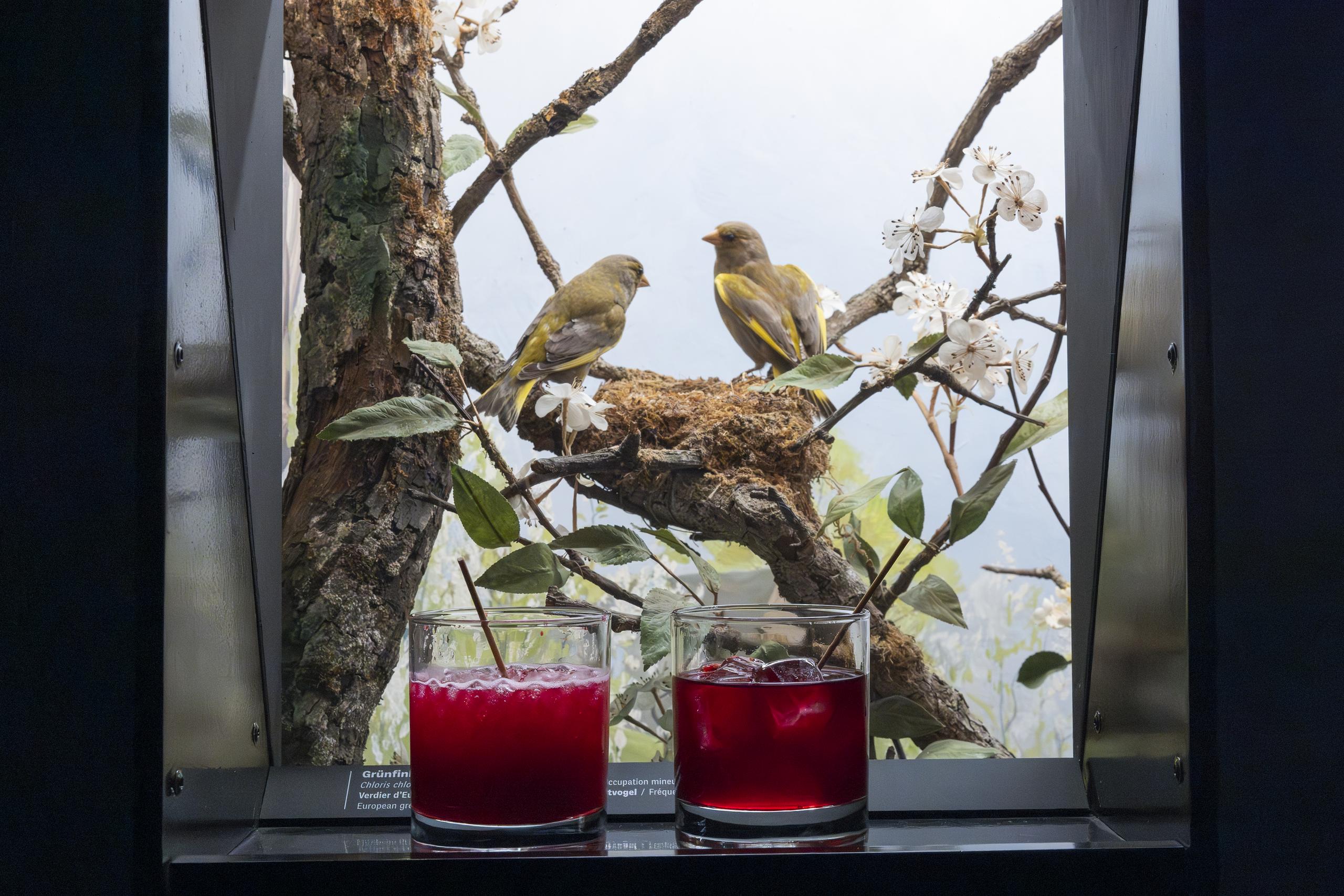 Bar der toten Tiere